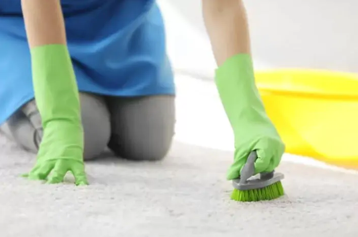 Drying a Wet Carpet