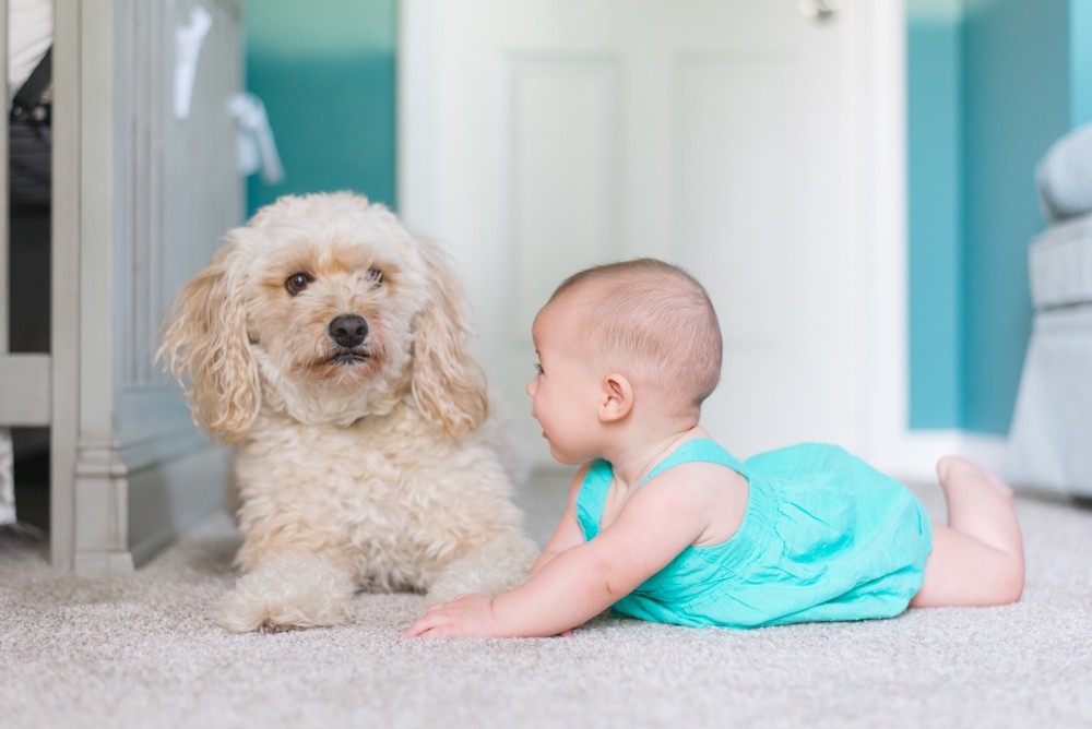 Why get your carpets cleaned  professionally?